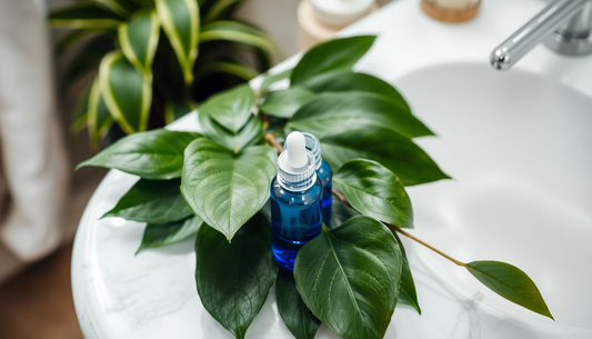Eyelash and Eyebrow Growth: A Plant-Powered Clean-Beauty Blueprint for Fuller Lashes and Sculpted Brows