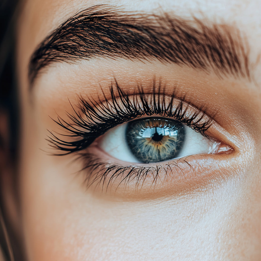 Natural Actives for Lash & Brow Enhancement: The Botanical Science Behind the Results